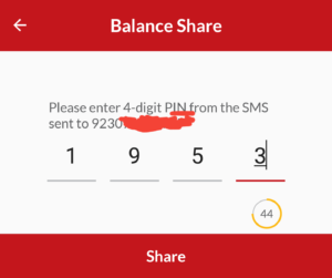 balance share number verify