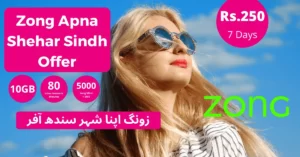 Zong Sindh Offer