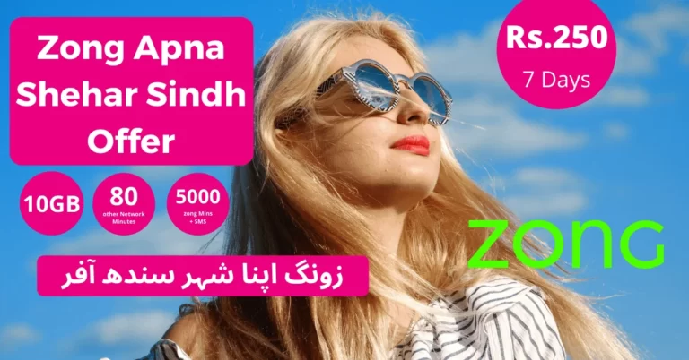 Zong Sindh Offer