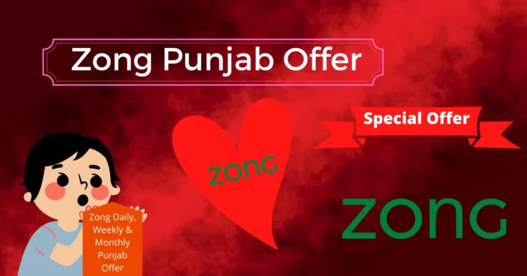 Zong Punjab Offer